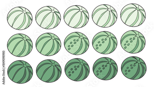 Collection of various watermelons in different shades of green 