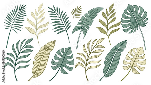 Collection of tropical leaves and ferns illustration set for design and craft projects