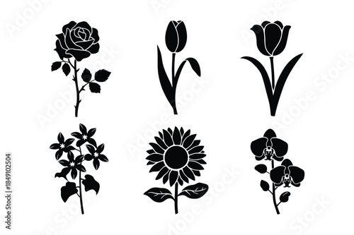 Floral icons: rose, tulips, sunflower, orchids, and jasmine branch