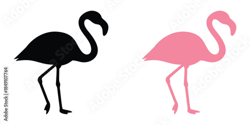 Flamingo vector silhouette, pink flamingo vector illustration, standing flamingo, flamingo clipart