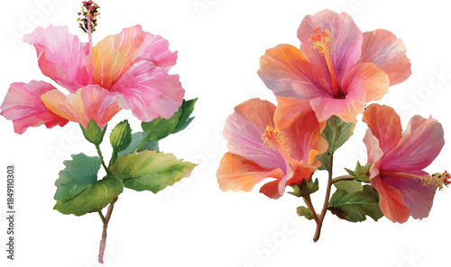 pink and yellow flowers