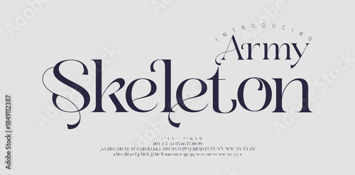 Elegant wedding alphabet letters logo font and number. Typography Luxury classic lettering serif logos fonts decorative vintage retro concept. vector illustration