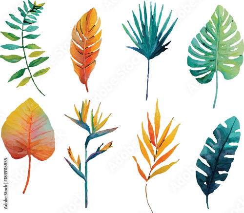 vector set of autumn leaves
