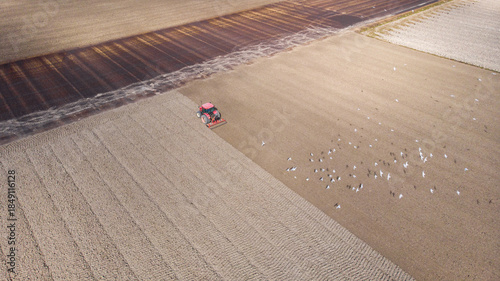 Aerial view of a lone red tractor working the fields, stirring up earth and attracting a flock of white birds in a tranquil rural setting, Agriculture, North Holland, Netherlands.