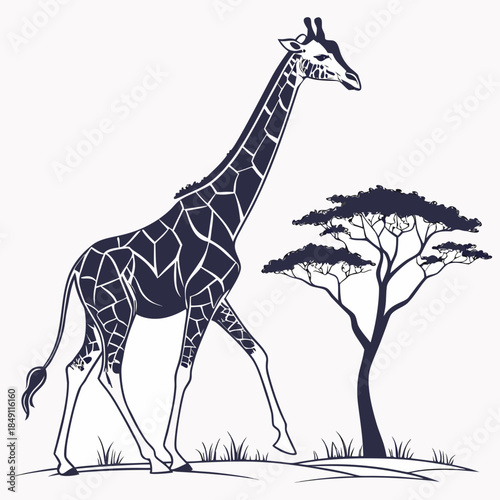 Giraffe walking in savanna