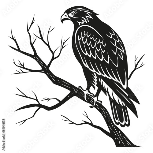 Eagle perched on a branch