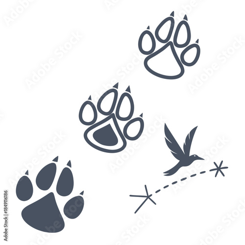 Illustrations of animal tracks and a bird
