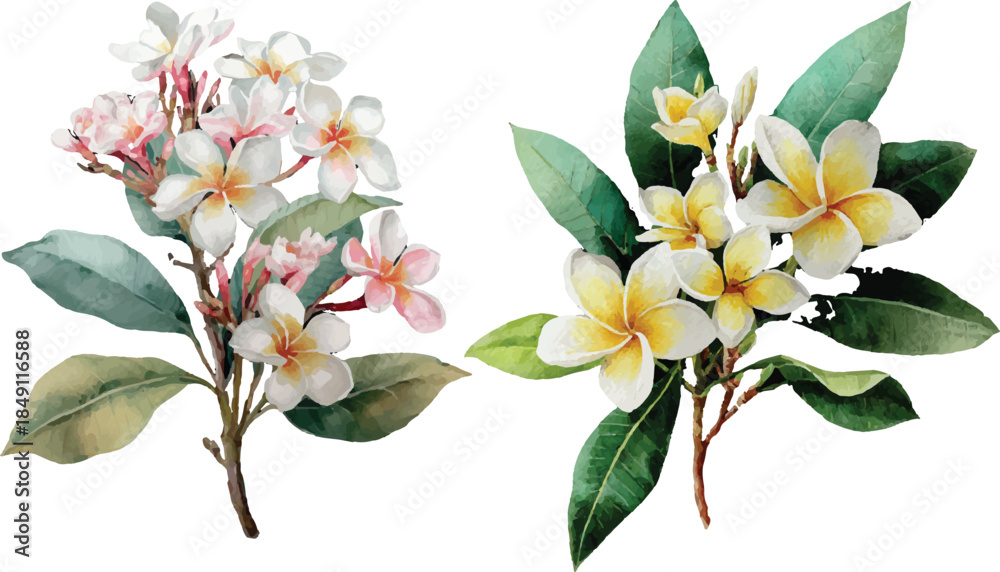 Obraz premium bouquet of flowers isolated