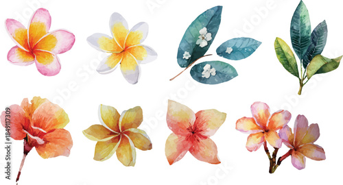 set of watercolor flowers