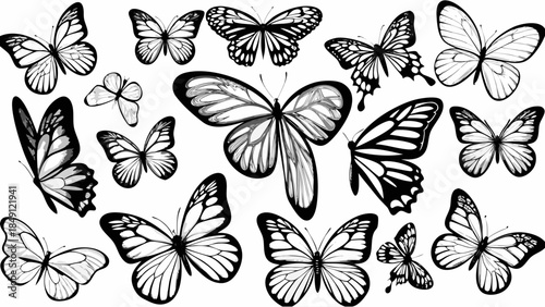 Beautiful butterflies in flight on white background