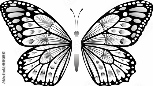 Detailed black and white butterfly illustration with intricate patterns