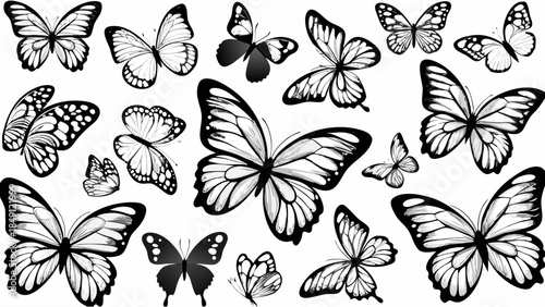 Beautiful butterflies in flight on white background