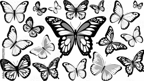 Beautiful butterflies in flight on white background