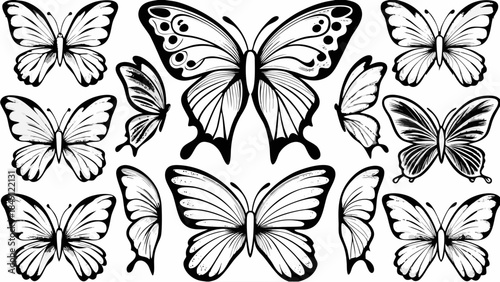 Collection of beautiful butterfly illustrations in black and white