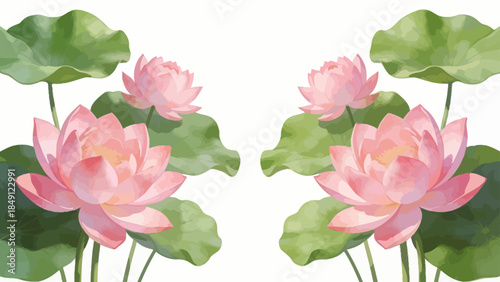 Pink lotus flowers with green leaves