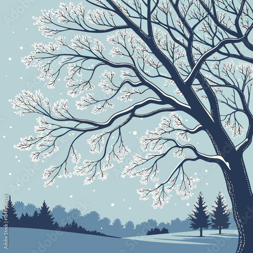 Frosty Tree Branches Covered In Ice Crystals