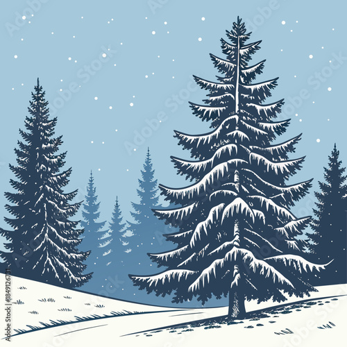 Snowy Pine Trees With Blue Winter Light