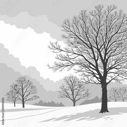 Winter Landscape With Bare Trees And Fog