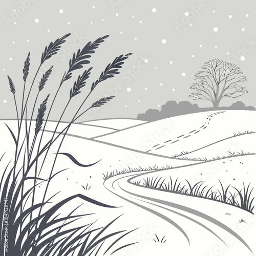 Winter Meadow With Soft White Snow