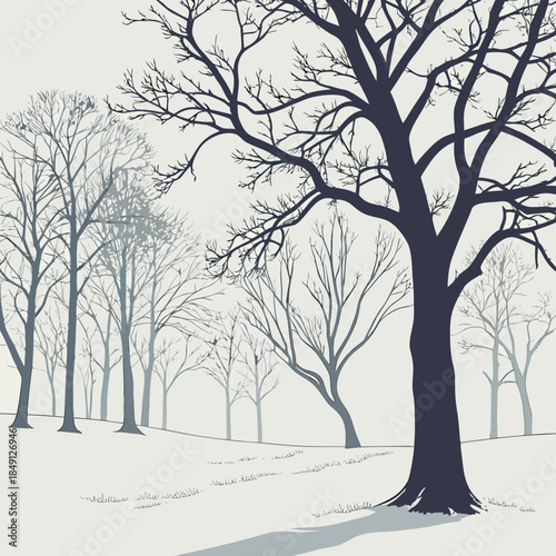 Winter Landscape With Bare Trees And Fog