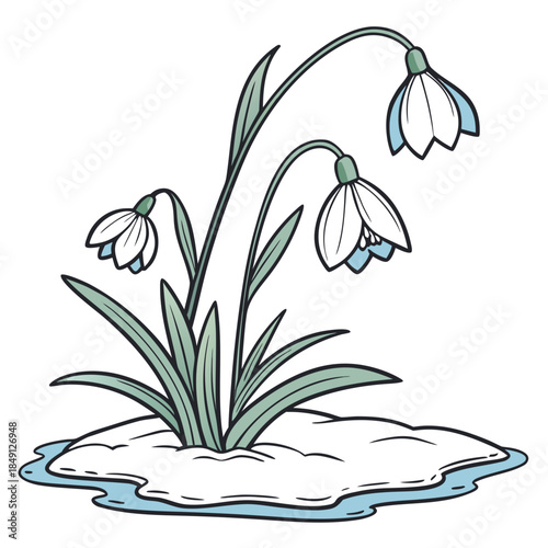 Winter Lotus Floating On Ice With White Background