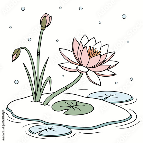 Winter Lotus Floating On Ice With White Background