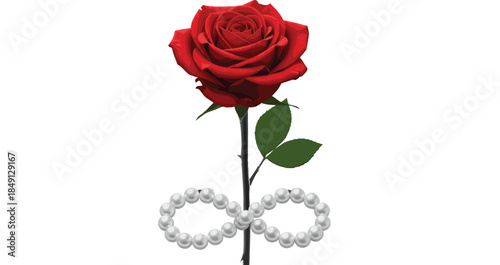 Elegant red rose flower on long stem featuring a white pearl infinity symbol isolated on white background romantic eternal love vector.