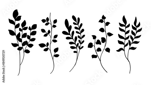 Silhouette of various botanical leaves on a white background.