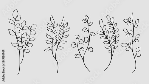 Hand drawn line art botanical leaves and flower elements collection.