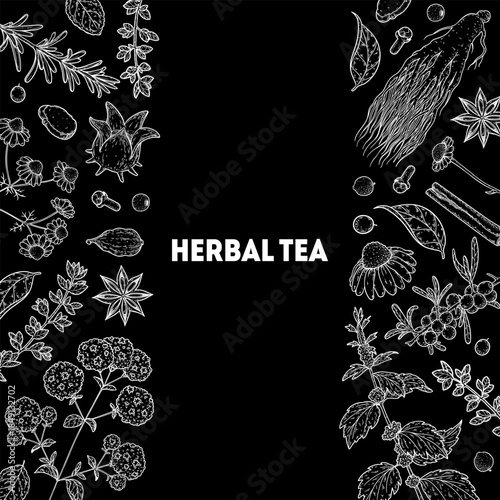 Herbal Tea vector drawing illustration. Herbal tea ingredients. Healthy food and drink . Vector drawing sketch collection. Engraved style.