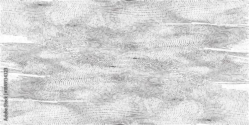 Abstract vector noise. Small particles of debris and dust. Distressed uneven background. Grunge with fine grains isolated on white background. Vector illustration. EPS10.