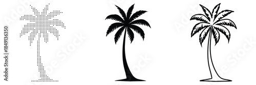 Three distinct palm tree illustrations in silhouette, representing tropical vibes.