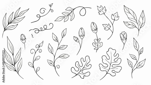 Collection of Hand Drawn Botanical Elements and Leaves.