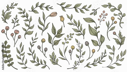 Collection of Hand-Drawn Botanical Elements and Floral Sprigs.