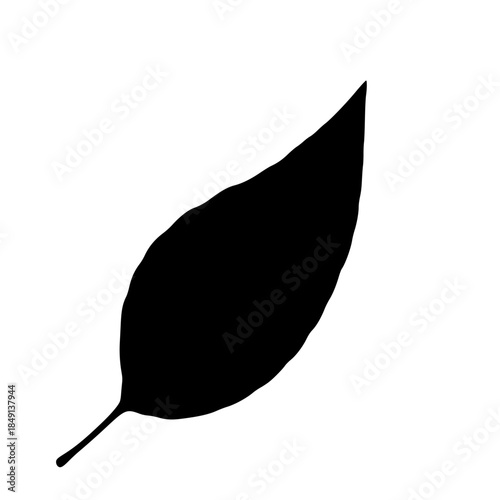 Black silhouette of a single leaf on a white background  