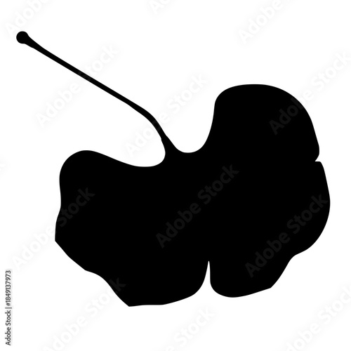Abstract black leaf silhouette on white background  