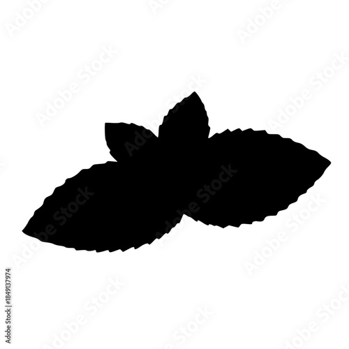 Mint leaves silhouette on white background  