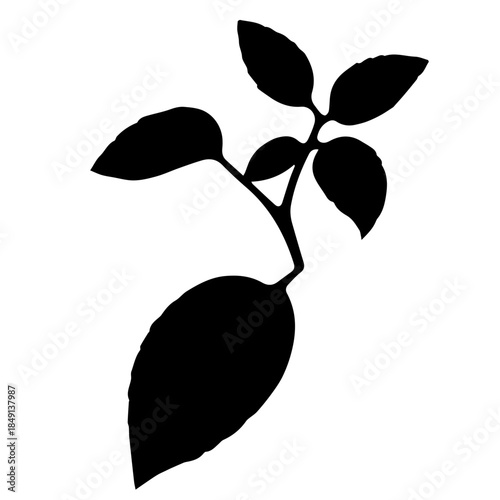 Leafy branch silhouette with multiple leaves on white background  