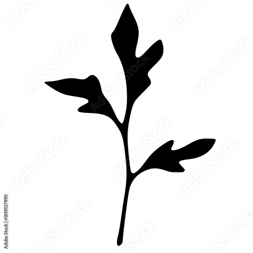 Black silhouette of a leafy branch in minimalist style  