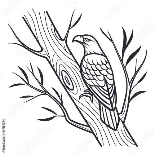 Eagle perched on tree branch