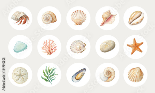 Watercolor Marine Life Collection with Seashells and Ocean Creatures