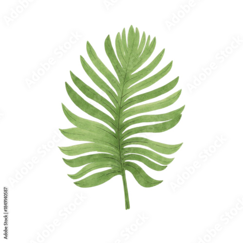 green leaf isolated on transparent background