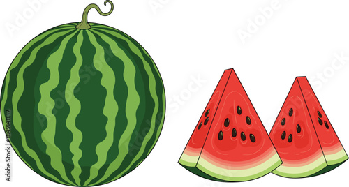 Fresh whole watermelon with sliced pieces isolated on white background, juicy summer fruit food vector illustration