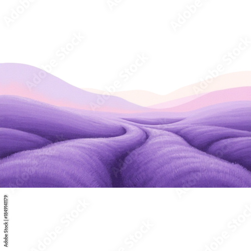 lavender field  isolated on transparent 