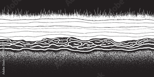 Abstract Black and White Organic Layers with Textured Elements.