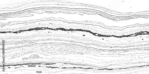 Abstract black and white wavy lines with dark cracks.