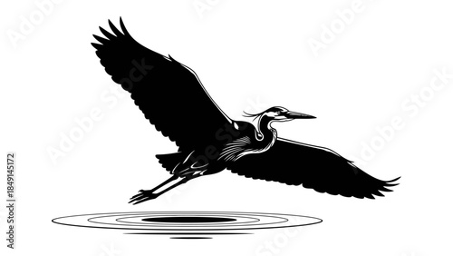 Bold black and white silhouette of a heron in flight over water with detailed wing and beak