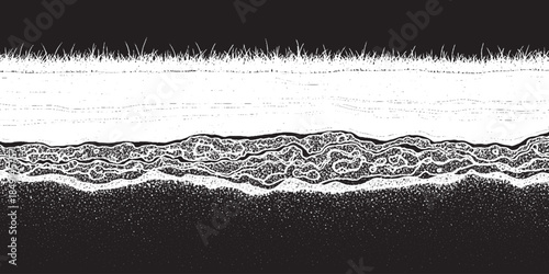 Abstract microscopic view of organic matter or cellular structure in black and white.