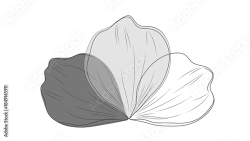 Abstract monochromatic petal illustration emphasizing subtle shading and line work