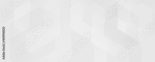 Hexagon white gray wave light technology texture background. Abstract big data digital concept simple art modern abstract
